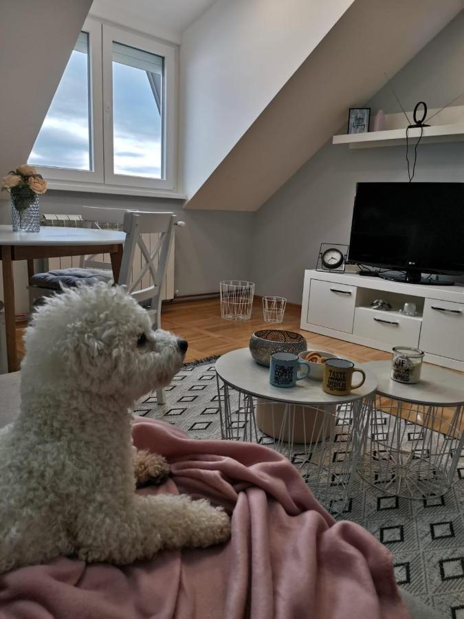 Apartman Jela Nova Varoš Eksteriør billede